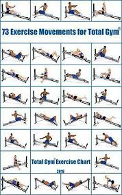 Wish For Workout Plans Why Not Study This Brilliant Exercise Workout Plans Pin Ref 3130283033 Immediately Bri Home Gym Exercises Total Gym Gym Workout Chart