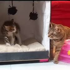 Marcos Segundo Salvatierra