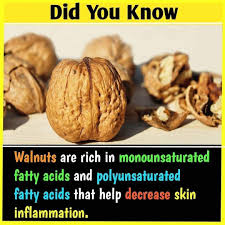 Benefits Of Walnuts Healthy Facts Health And Nutrition Indian Diet