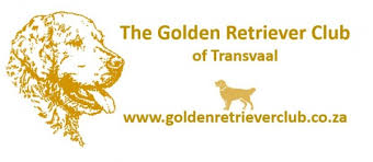Golden retriever is a song by super furry animals. Golden Retriever Breeder Sandton South Africa Contact Phone Address