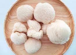In this video we go over. How To Grow Lion S Mane Mushrooms Plant Instructions
