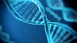 Follow these simple steps in order to bank dna for yourself or a family member. Dna Speicherung Grammenos Internationale Bestattungshauser