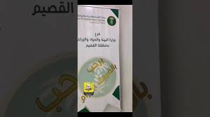 لقاء بشأن برنامج دعم صغار المربين 9 2 1441هـ Youtube