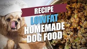 Now you have healthy homemade dog food recipes at hand which you know only contain the best ingredients. Low Fat Homemade Dog Food Recipe For Different Health Conditions