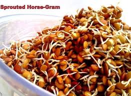 Image result for Macrotyloma uniflorum