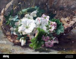 Image result for Gerardiina