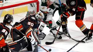 They compete in the national hockey league (nhl) as a member of the west division. Eriksson Ek Helps Wild Cap Road Trip With 3 2 Win Over Ducks Kare11 Com