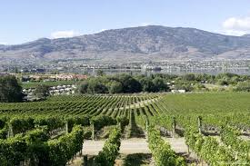 May 23, 2014 · completed in 2006 in osoyoos, canada. Top Things To Do Osoyoos Bc Restaurants Wineries Resorts Activities