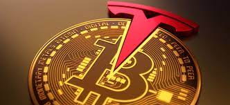 How do i know how much bitcoin to enter? Sxjqiw0e0rjf5m