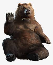 Grizzly Bear Png Free Transparent Png Download Pngkey Bear png png collections download alot of images for bear png download free with high quality for designers. grizzly bear png free transparent png