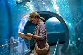 Acorn tv has you covered, whether you're interested in crime dramas, comedies, or documentaries. The Best Shows On Acorn Tv I Heart British Tv