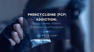 Image result for Phencyclidine