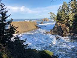 It was beautiful, green and quiet. Explore Oregon Coast Hiking At Sunset Bay State Park