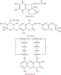 Image result for Dactinomycin