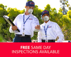 They love our professional service and we're proud to say joshua's pest control is locally owned and operated—a san diego original. 5 Signs Of Termites Termite Control Clark Pest Control