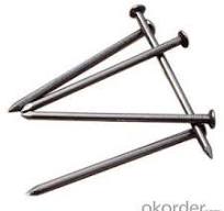 Polished Common Iron Nails - Buy Wire from suppliers ...
