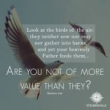 Birds Of The Air Steubenville Conferences Be Inspired Equipped And Empowered Quotes About God Words Of Wisdom Heavenly Father