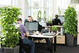 I have sent a couple of inquiries to customer su.pport and have not heard back regarding my order. Office Plants Boost Health And Focus Communicate Influence
