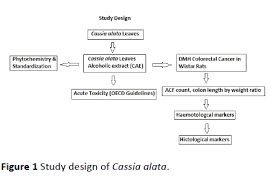 Pharmacological Screening Of Cassia Alata Leaves On