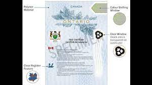 Backlog Of 3-4 Months To Obtain Birth Certificates Frustrates Ontario  Parents | Cp24.Com