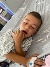 🍉🍉Hello How Are You Please Don't Skip Me I Am Lina From Gaza I Have Two  Infants And A Brother Who