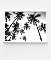 Black And White Palm Tree Pictures Black And White Palm Tree Print Tropical Wall Art Beach House Decor With Images Tropical Wall Art Tropical Art Print Palm Tree Art