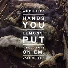 Check spelling or type a new query. Bull Riding Quote Bull Riding Quotes Riding Quotes Bull Riding