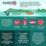 Es peligrosa la industria salmonera en Chile? Todo lo que ...