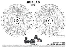 a4 iridology chart transparency