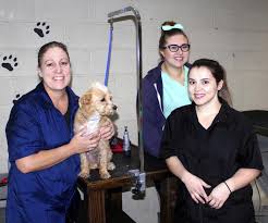 Pampered pets boarding & daycare is an outstanding facility. Newman Pet Grooming Business Reopens Business Beat Westsideconnect Com