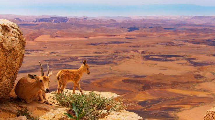 Planet Earth As Spectacle-and Cautionary Tale