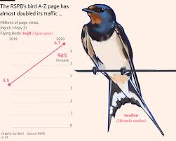 Perfect gift for all ages and for your birds too. How Britain Became A Nation Of Birdwatchers Financial Times