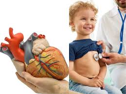 Hole in Heart: दिल में छेद क्यों और कैसे होता है? जानें इसके शुरुआती लक्षण,  कारण और इलाज