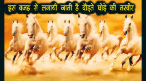 Find the best running horses wallpaper on getwallpapers. Seven Horses Image As Per Vastu Youtube