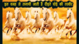 Seven horses images stock photos vectors shutterstock. Seven Horses Image As Per Vastu Youtube