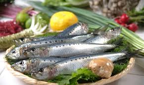 Image result for ‫سمك السردين‬‎