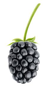 Pin On Raspberry Png