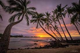 Sunset And Coconut Palm Trees At Makalawena Beach Kekaha Kai State Park Kona Kohala Coast Big Island Of Hawai In Wallpaper Backgrounds Desktop Screen Savers