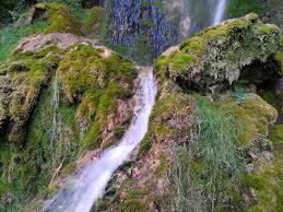 Der uracher wasserfall ist wohl der bekannteste der schwäbischen alb und zählt zu den besonderen sehenswürdigkeiten des unesco global geopark schwäbische alb und des unesco anerkannten biosphärengebiet schwäbische alb. Uracher Wasserfall Auf Dem Wasserfallsteig In Bad Urach Schwabische Alb Guide