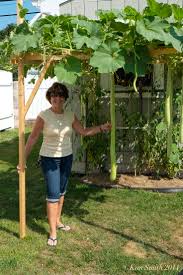 1 (28 ounce) can whole tomatoes. Making Limoncello With Friends And Nina Groppo S Cucuzza Feast Of Saint Joseph