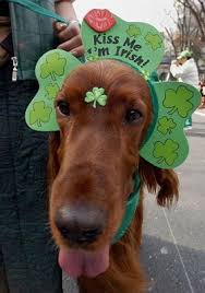 We know how it feels when a package you were expecting doesn't show up. Pin On Fun Humor