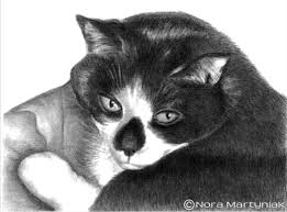 Learn how to draw realistic animals pictures using these outlines or print just for coloring. Drawing Realistic Pets From Photographs Step By Step Art Lessons By Lee Hammond Art Is Fun