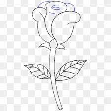 Today we show you how to draw more attention to your subjects with soft, natural vignettes in photoshop! Large Size Of How To Draw A Simple Rose Step By For Yorkshire Rose Black And White Hd Png Download 1084x1133 1660947 Pngfind