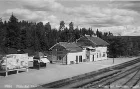 The parish of nitedal was established as a municipality on 1 january 1838 (see formannskapsdistrikt). Akershus Fylke Nittedal Kommune Nittedal Stasjon 1950 Tall Utg Normann