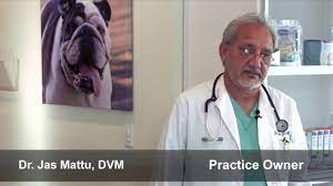 General practitioner pay this provider apply now apply now. University Veterinary Hospital Veterinarian In Berkeley Ca