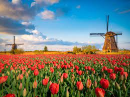 Zum morgiggen runden geburtstag von königin #máxima der #niederlande hat für die offiziellen fotos ein bisher nur wenigen bekannter wer ist das? So Wird Pflege In Den Niederlanden Organisiert Stiegelmeyer Forum Online Magazin