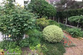 Bienvenue Dans Le Jardin De Didier Et Graciane Le Jardinoscope Toute La Flore Et La Faune De Nos Parcs Et Jardins Parc Et Jardin Rosier Liane Jardins