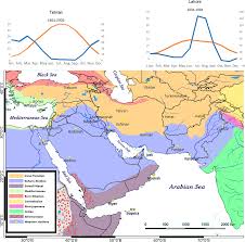 Image result for Caroxylon littoralis