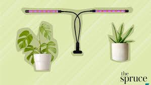 Fluorescent lights will commonly be used for growing vegetables and herbs indoors. The 7 Best Grow Lights Of 2021