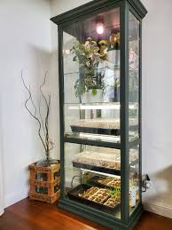 You can put together mini greenhouses that act as a terrarium to house indoor plants or use cold frames to grow. How To Make A Diy Greenhouse Cabinet For Indoors From An Old Display Curio Cabinet 6 Refresh Living